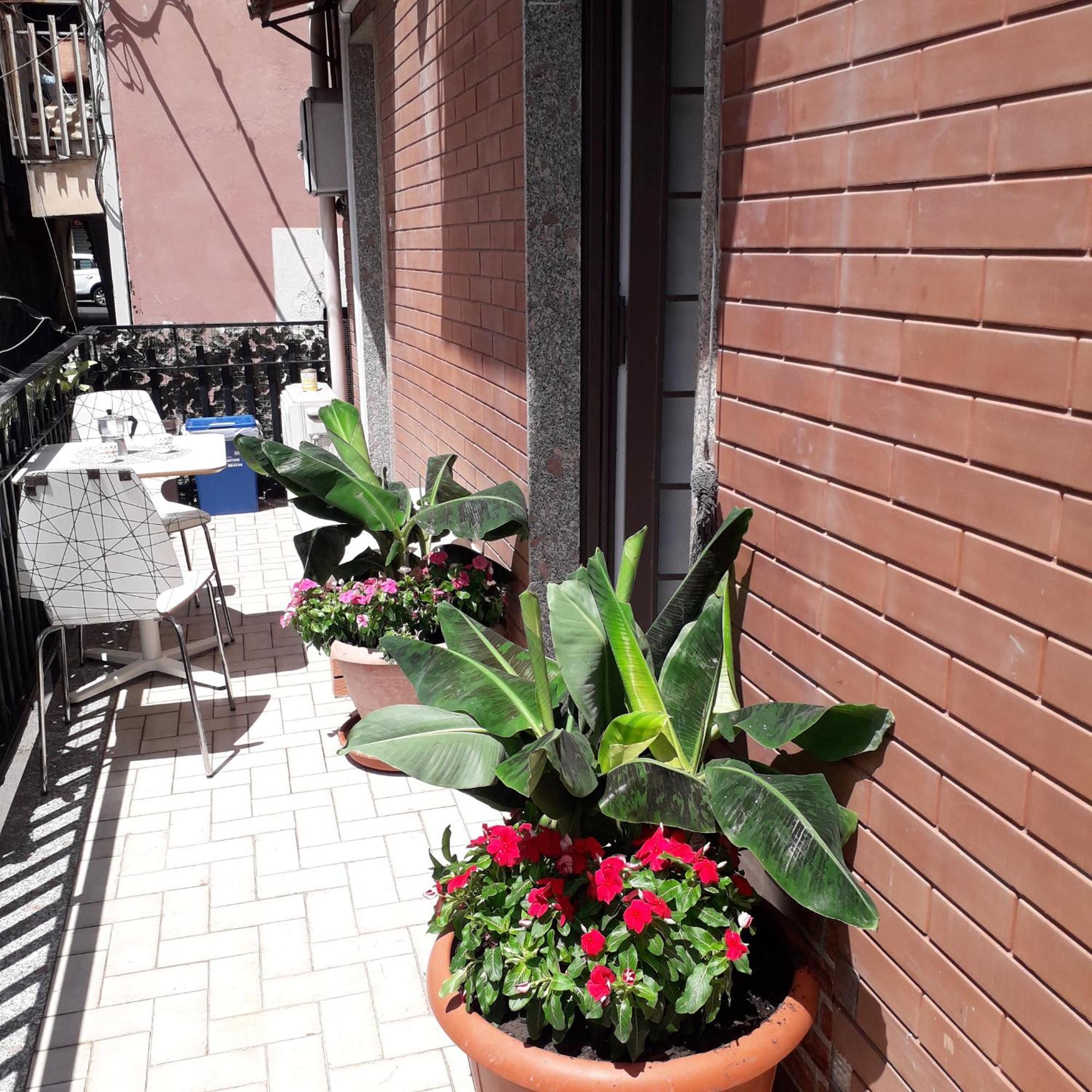 Le Case Del Cortile Catania Luaran gambar