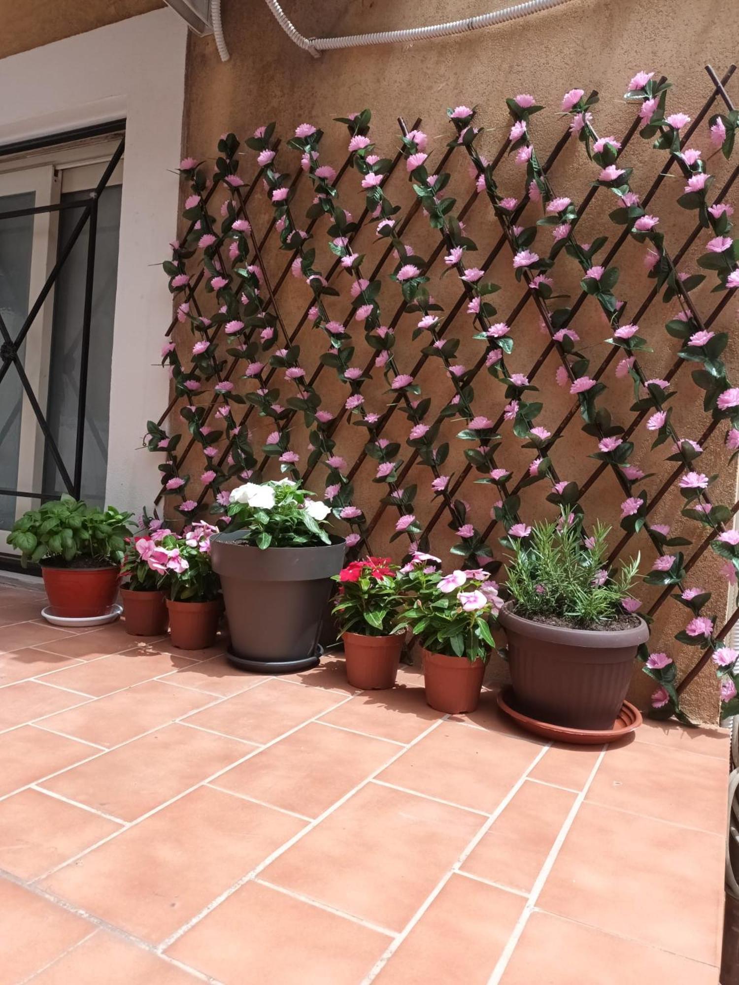 Le Case Del Cortile Catania Luaran gambar